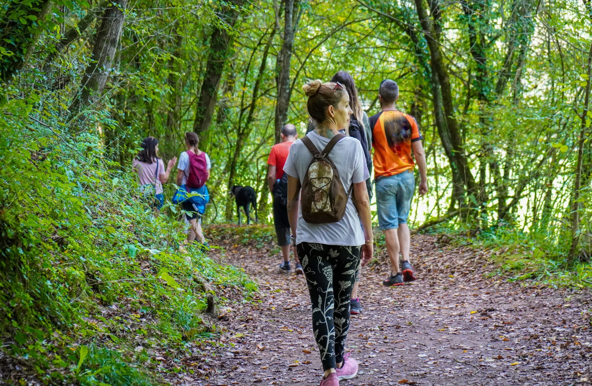 HB Kwartier wandelingen hoogbegaafden volwassenen
